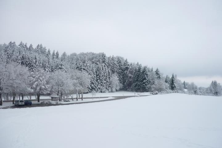 K640_P1030812.JPG